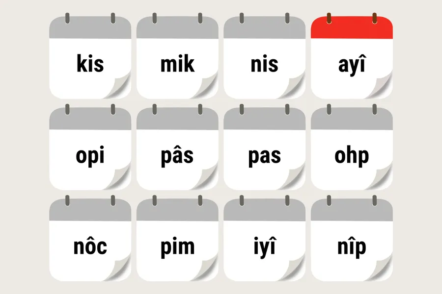 ayîkipîsim