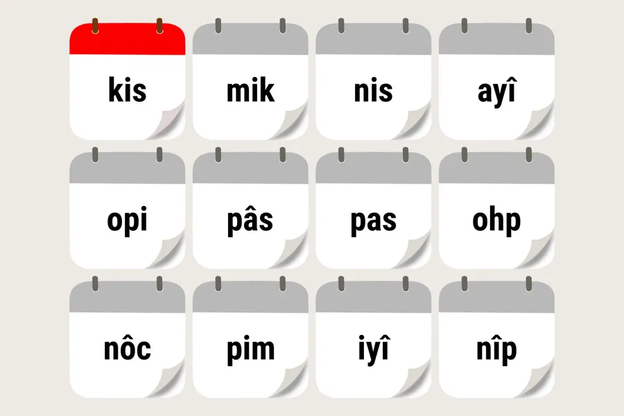 kisêpîsim