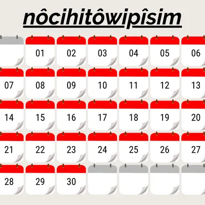 piyak pîsim