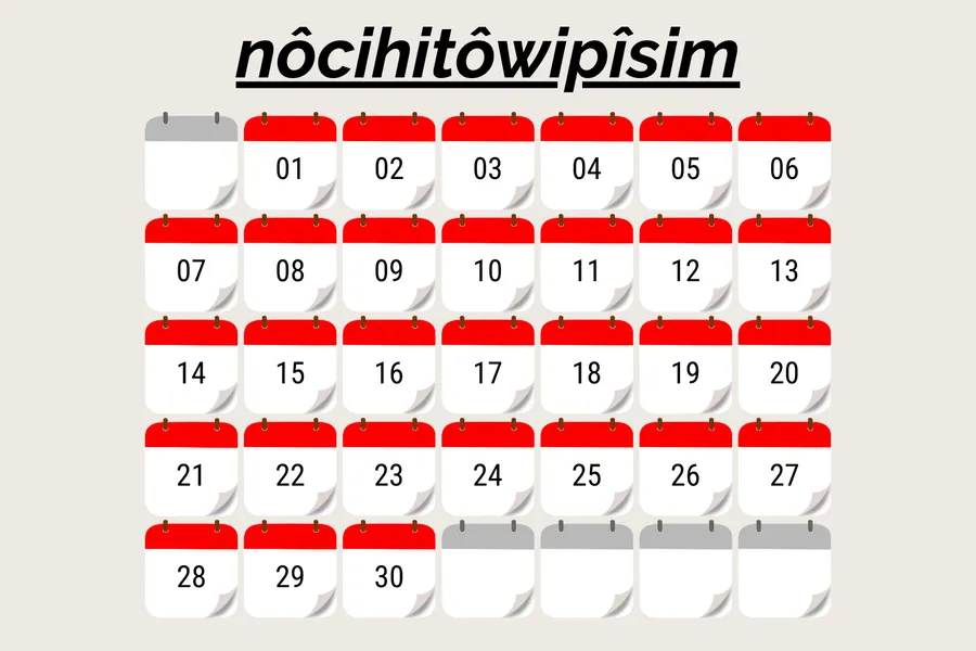 piyak pîsim