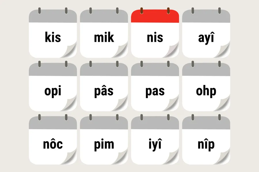 niskapîsim