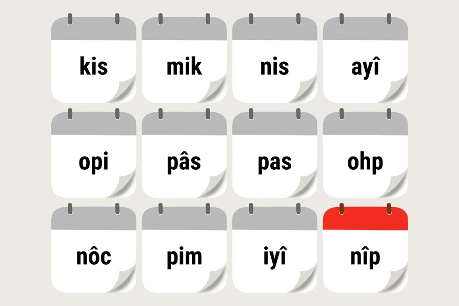 nîpâyamihâwipîsim