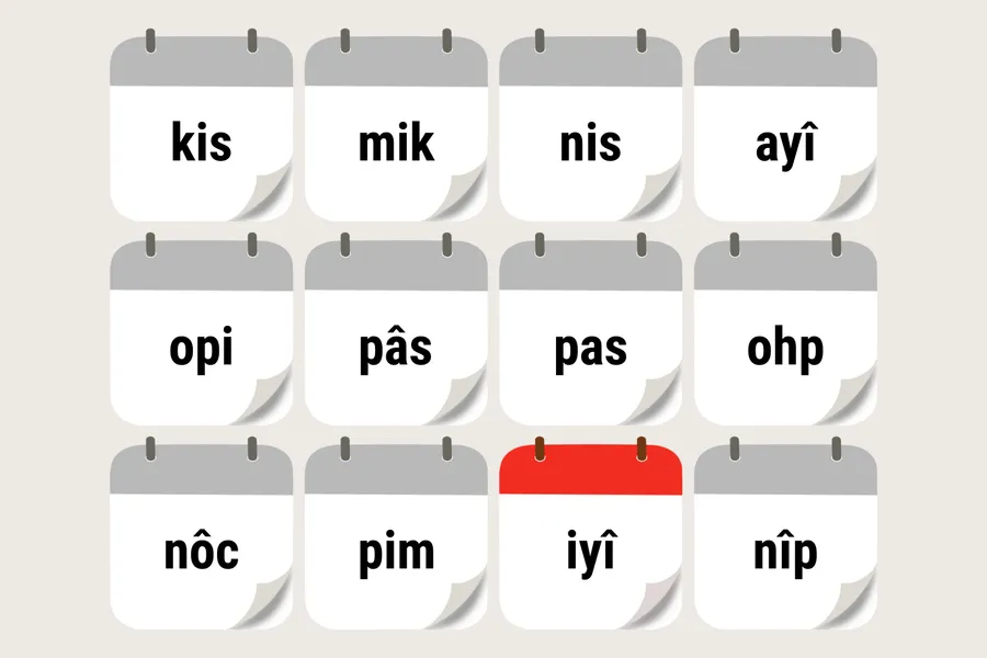 iyîķopêwipîsim