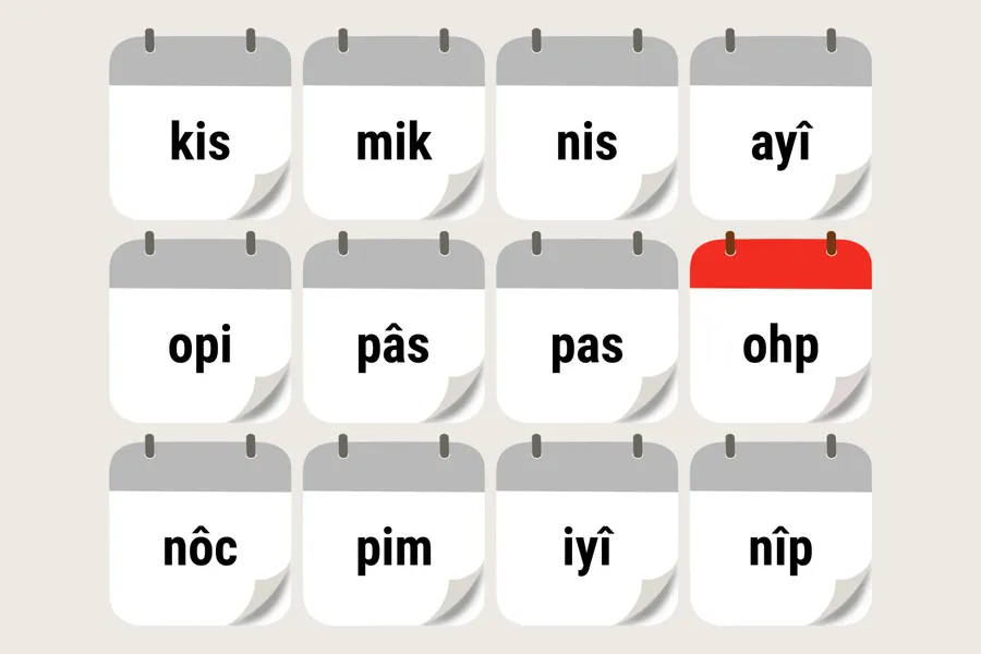 ohpahôwipîsim