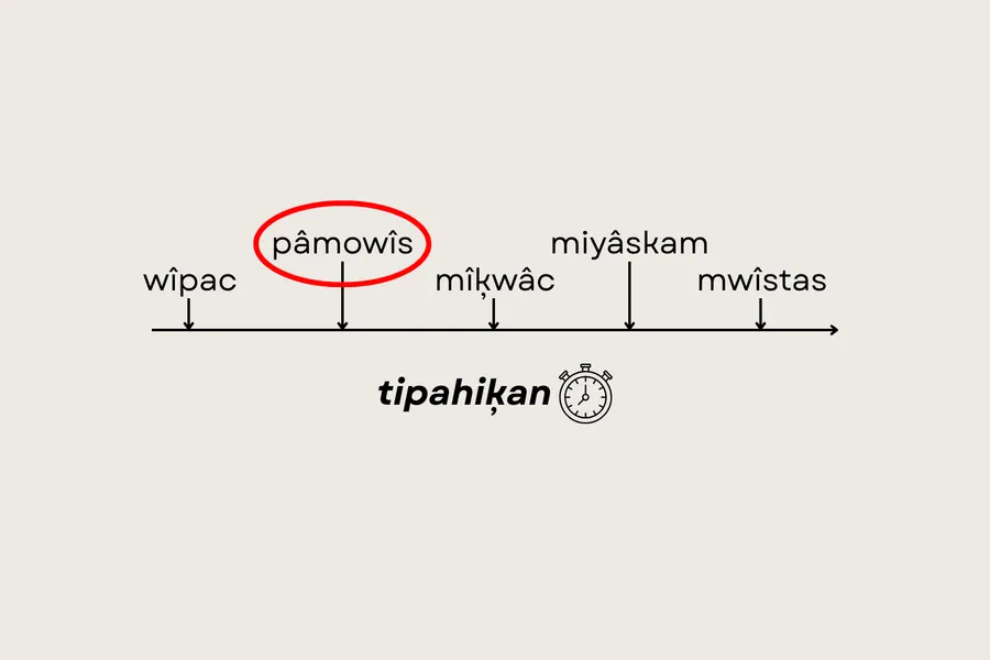 pâmowîs