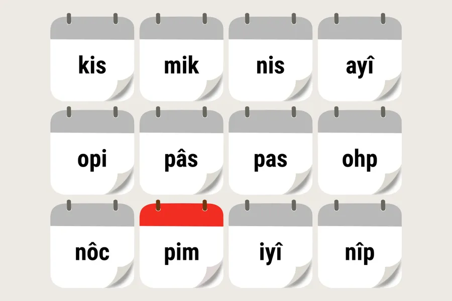 pimahâmôwipîsim
