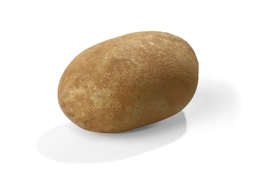 l'patak