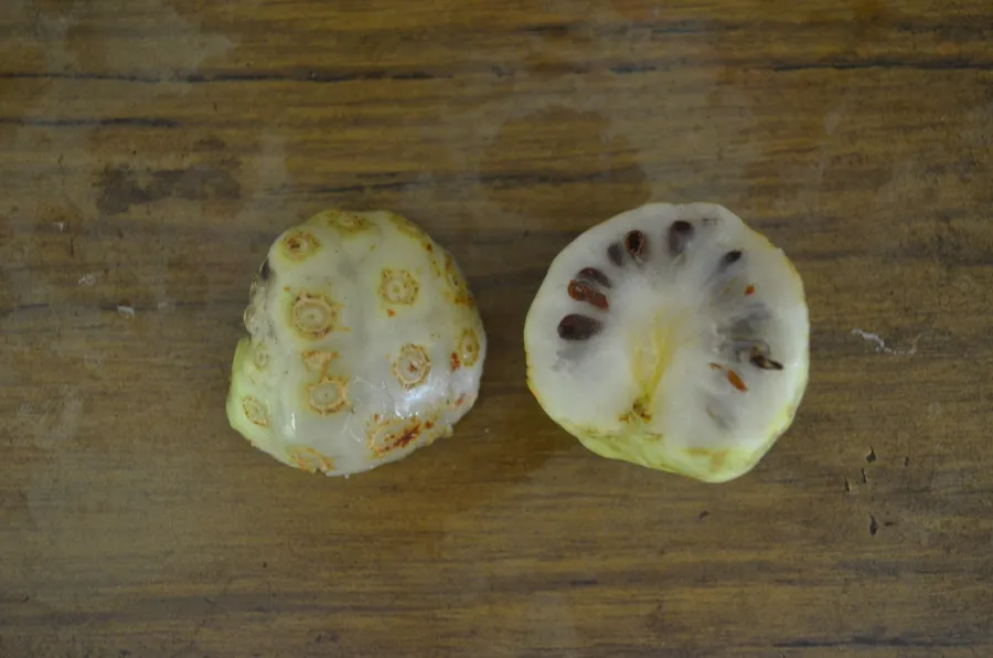hua bugaliaa