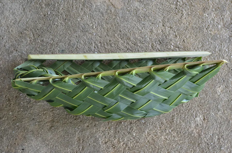 bolobolo