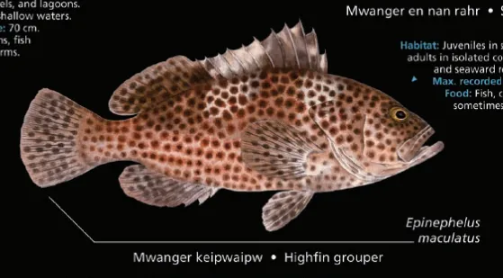 ngadala
