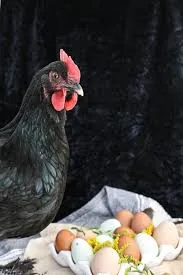 ẹ̀múnì