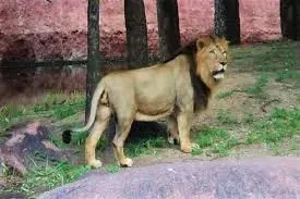 égbè