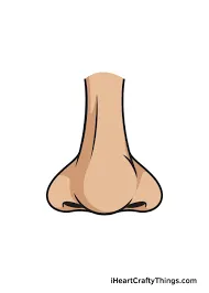 íbú