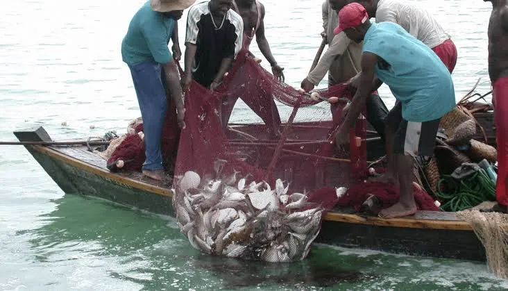 ọkwọayak