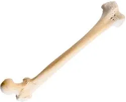 ọ́kpọ́