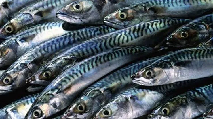 àyàk
