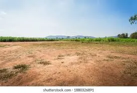 ízọ̀ñ