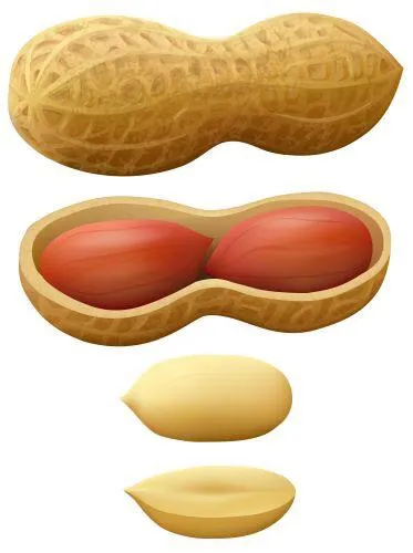 ẹ̀pẹ̀yọ̀