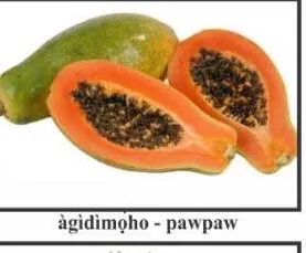àgìdìmọ̀ho