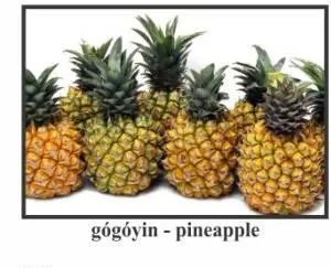 gógóin