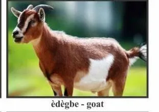 èdègbe
