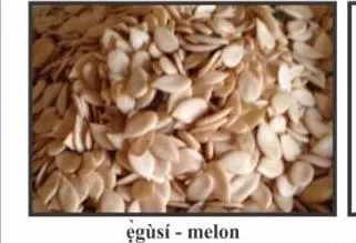 sọfìn