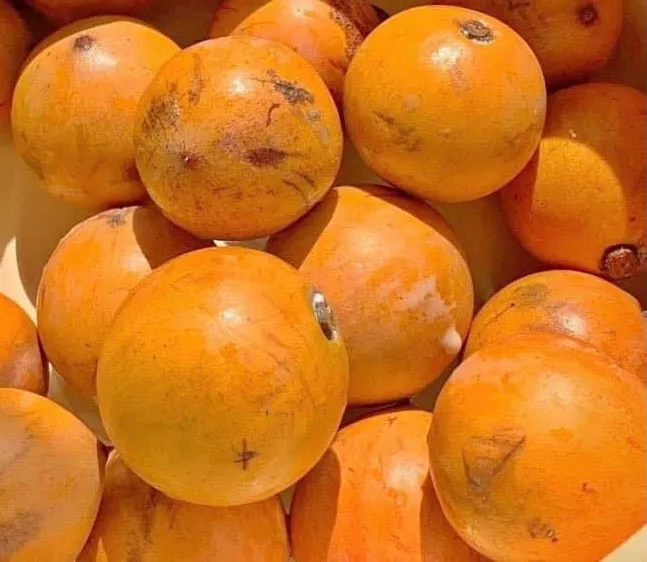 ọhọ́n