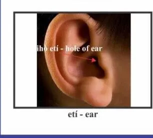 etí [etí]