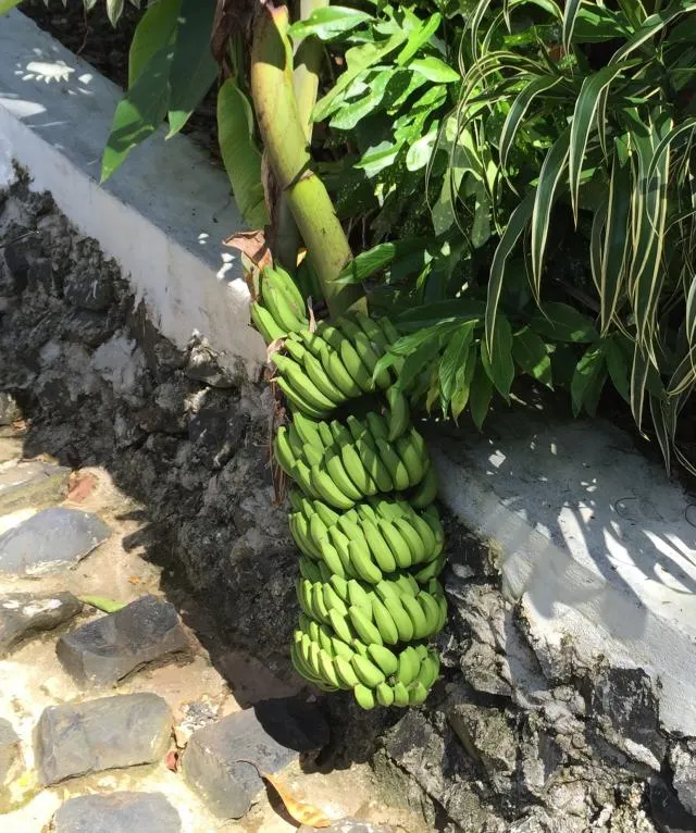 es
