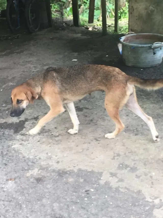 kidi