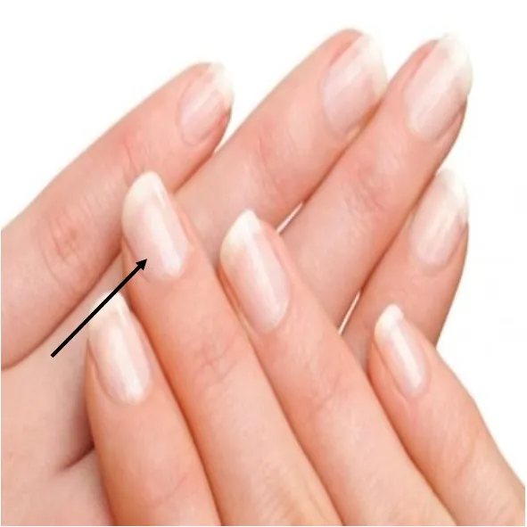 uxk'aq
