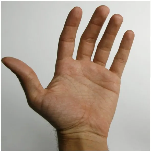 q'ab'is