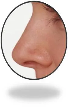 Txamej