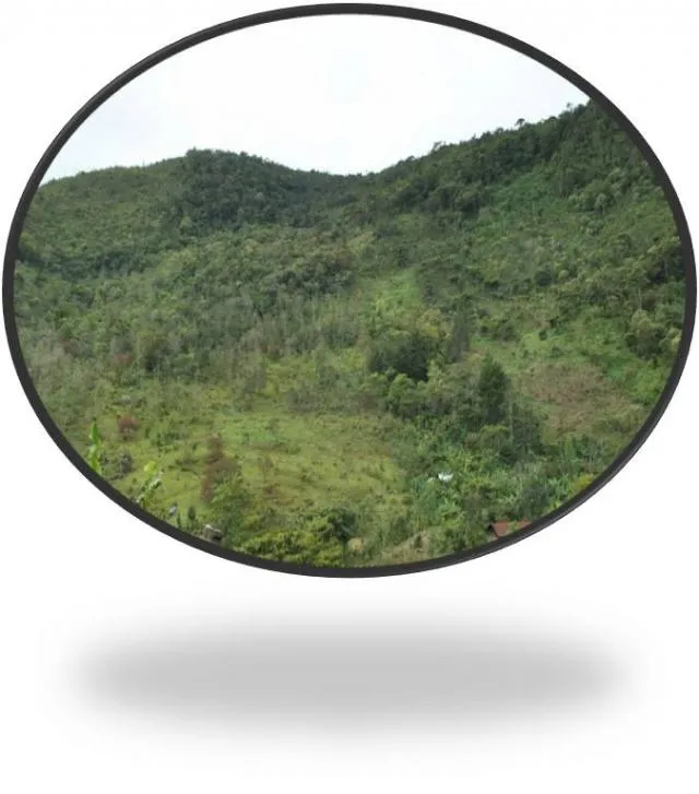 Yaxyin