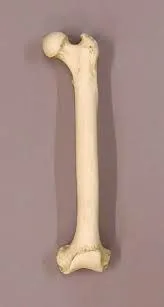 tullu