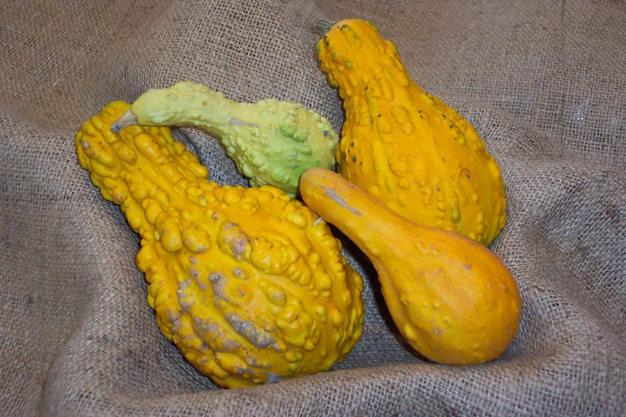 tìnduyù