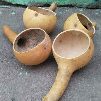 sego, mokgopu