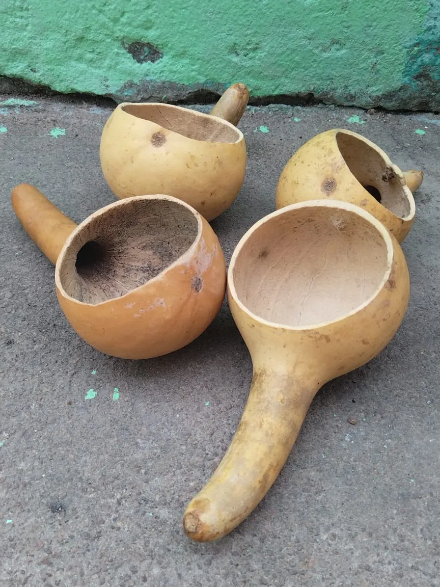 sego, mokgopu