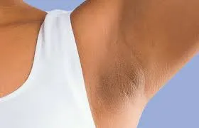 lehwafa
