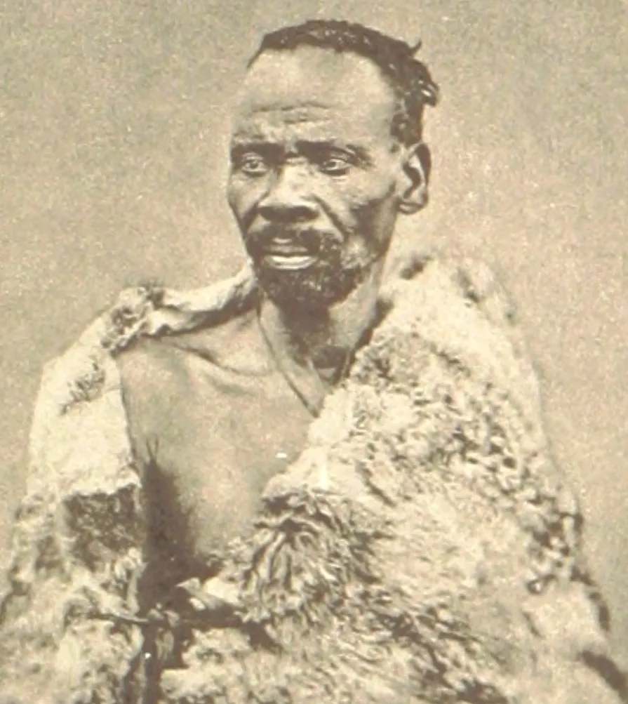 kgoši Sekhukhune