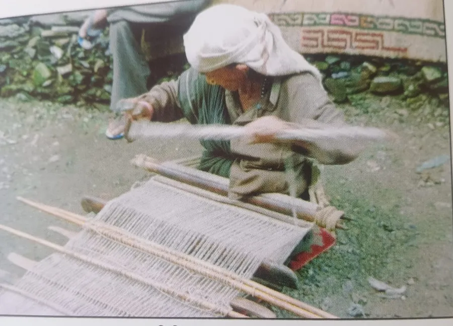 पिट्ठि चान