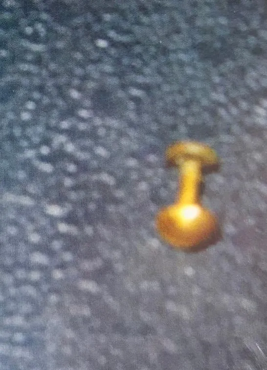 फुलि