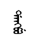 daNpu