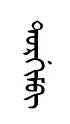 tyorVum