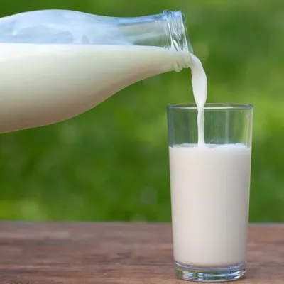 dudh