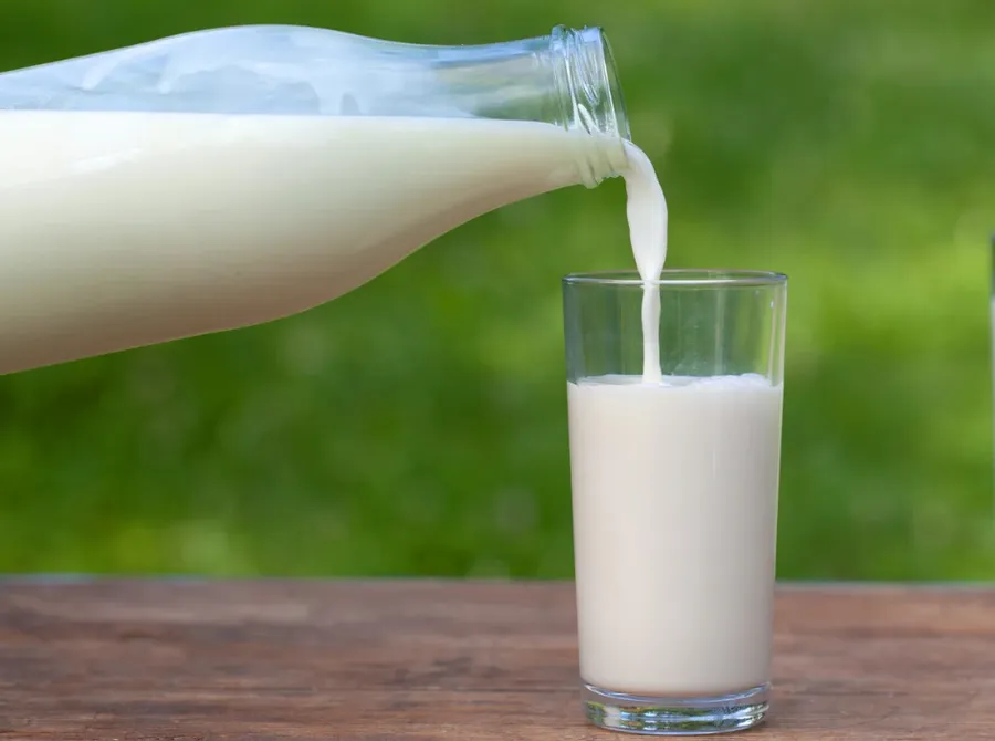 dudh