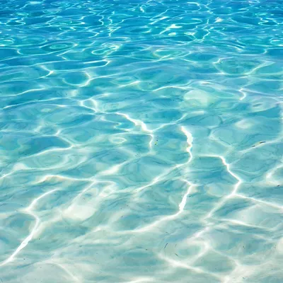 pani