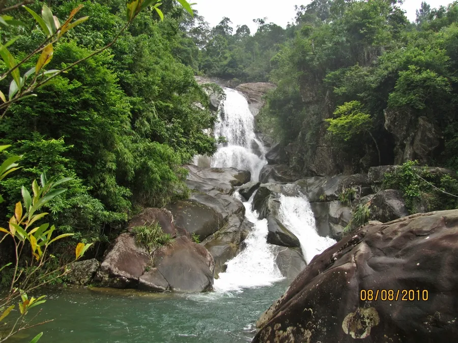 Taiz-Thai-English-CJKV