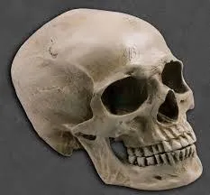 𞋙𞋖𞋅𞋨-𞋋𞋁𞋘