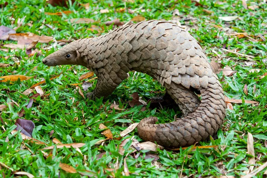 𞋚𞋁𞋫𞋓𞋜𞋋